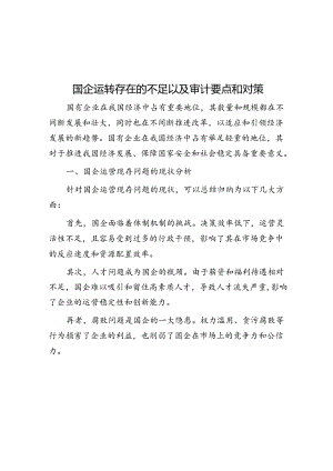 国企运行存在的问题以及审计要点和对策.docx