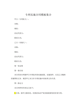 专利实施合同模板集合.docx