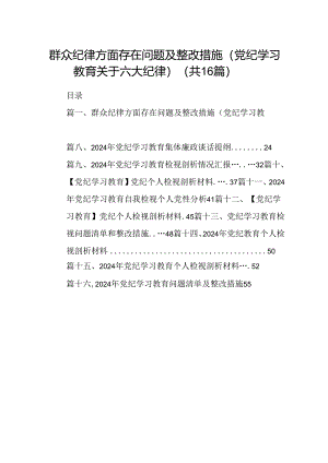 （16篇）群众纪律方面存在问题及整改措施(党纪学习教育关于六大纪律)（精选）.docx