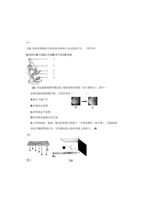 教科版2023--2024学年度第二学期六年级科学下册期末测试卷及答案（含五套题）.docx