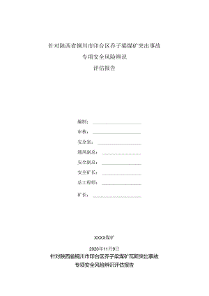 煤与瓦斯突出事故专项安全风险辨识评估报告.docx