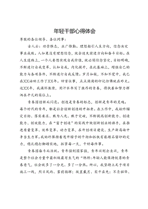年轻干部心得体会.docx