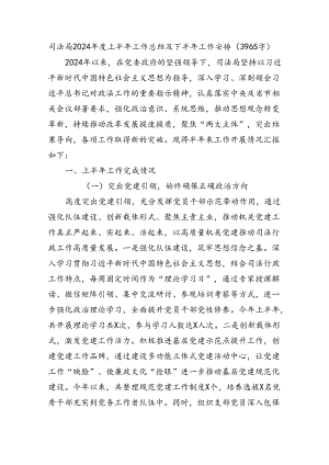 司法局2024年度上半年工作总结及下半年工作安排（3965字）.docx