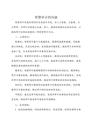 审计技巧：智慧审计的内涵.docx