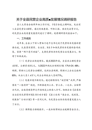 关于全县民营企业高质量发展情况调研报告.docx