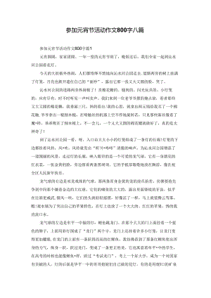 参加元宵节活动作文800字八篇.docx