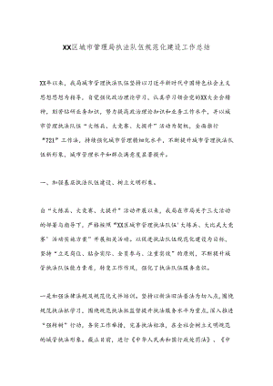 XX区城市管理局执法队伍规范化建设工作总结.docx