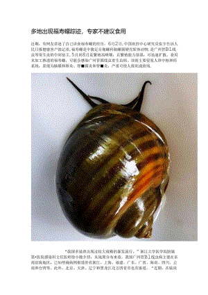 多地出现福寿螺踪迹专家不建议食用.docx