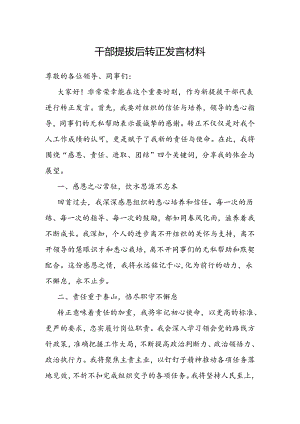 干部提拔转正发言材料.docx
