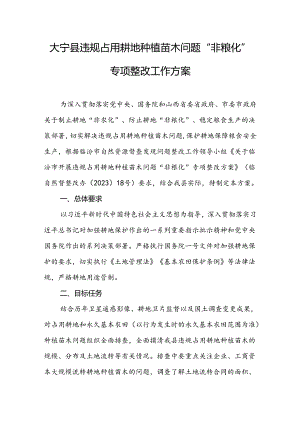 大宁县违规占用耕地种植苗木问题“非粮化”专项整改工作方案.docx