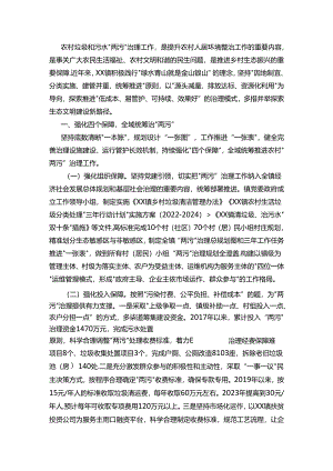 乡镇“两污”治理经验交流.docx