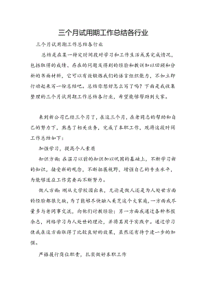 三个月试用期工作总结各行业.docx