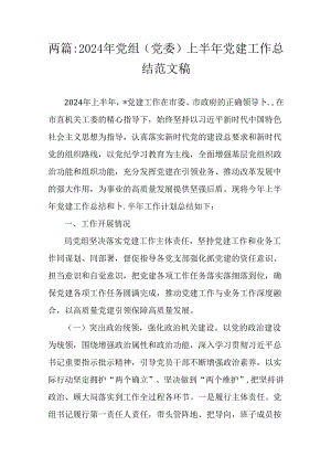两篇：2024年党组(党委)上半年党建工作总结范文稿.docx