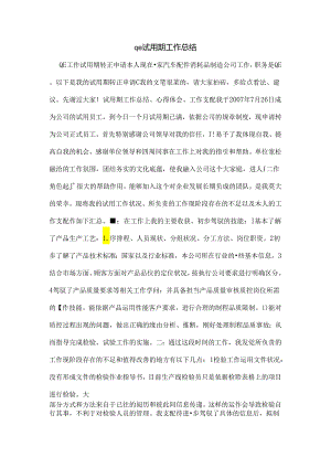 qe试用期工作总结.docx