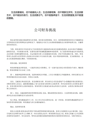 Biebhy公司财务挑战.docx