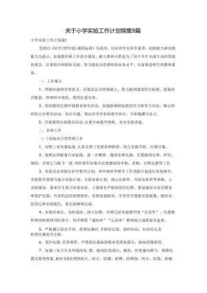 关于小学实验工作计划锦集9篇.docx
