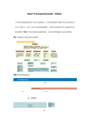 2024产科急危重症抢救流程图（附图表）.docx