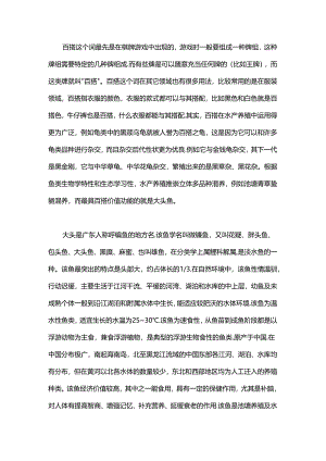 趣说百搭大头鱼.docx