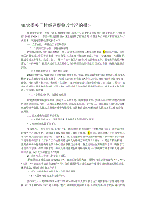 镇党委关于村级巡察整改情况的报告.docx
