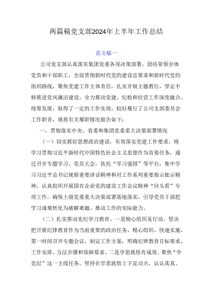 两篇稿党支部2024年上半年工作总结.docx