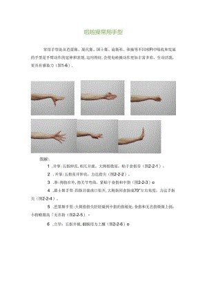 小学体育教学：啦啦操常用手型.docx