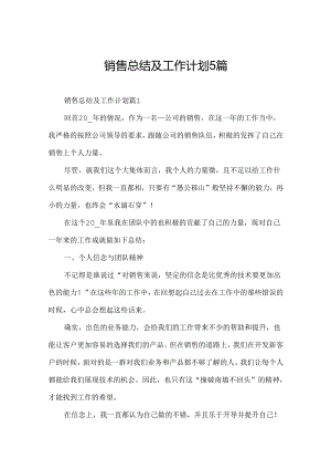 销售总结及工作计划5篇.docx