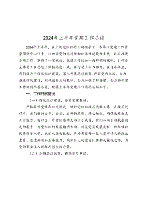 2024年上半年党委党支部党建工作总结2025.docx