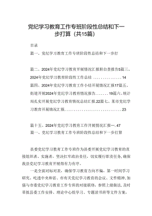 （15篇）党纪学习教育工作专班阶段性总结和下一步打算（详细版）.docx