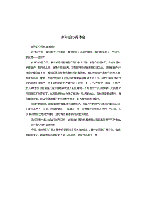 新年的心得体会.docx