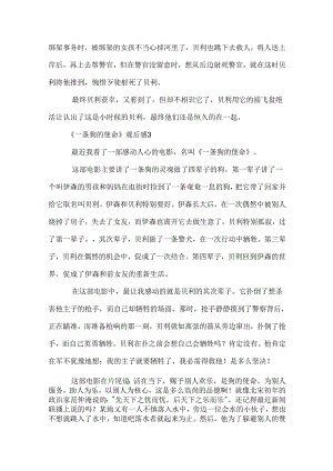 《狗的使命》观后感.docx