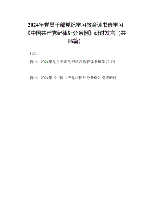 （16篇）2024年党员干部党纪学习教育读书班学习《中国共产党纪律处分条例》研讨发言（详细版）.docx