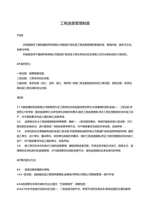 619工程进度管理制度.docx