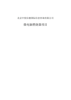 微电脑燃烧器项目可行性研究报告编写格式说明(模板套用型文档).docx