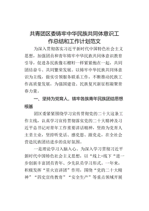 铸牢民族共同体意识工作总结和工作计划汇报报告.docx