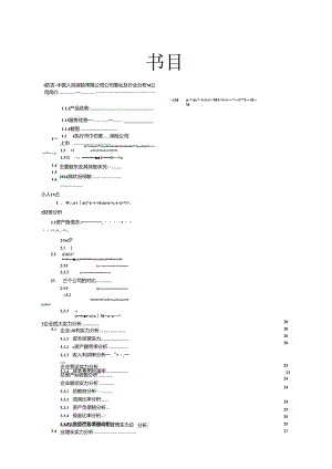 2024-人保财险财务报表分析(精).docx