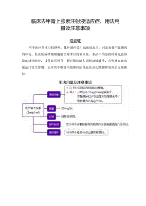 临床去甲肾上腺素注射液 适应症、用法用量及注意事项.docx