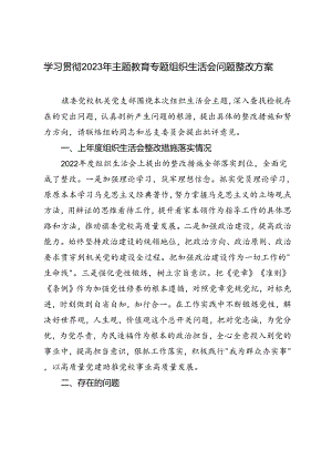 范文 学习2023年主题教育专题组织生活会问题整改方案.docx