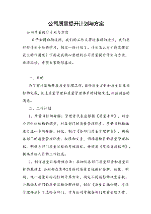 公司质量提升计划与方案.docx