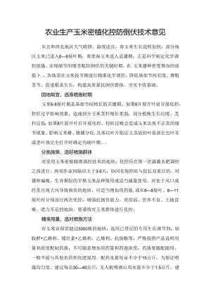 农业生产玉米密植化控防倒伏技术意见.docx