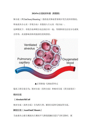 2024肺分流知识科普（附图表）.docx