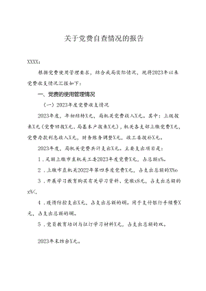 党费自查报告.docx