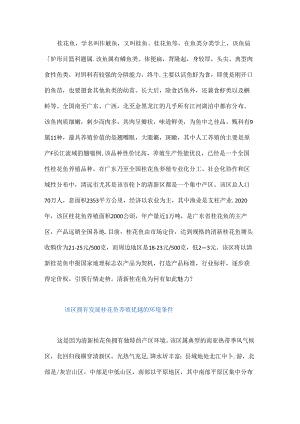 清新桂花鱼为何有如此魅力？.docx
