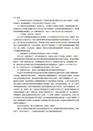 LED销售工作总结.docx