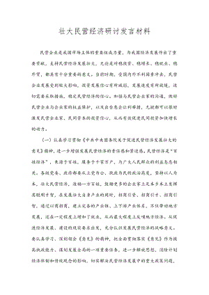 壮大民营经济研讨发言材料.docx
