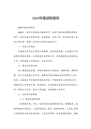 2023年度述职报告.docx