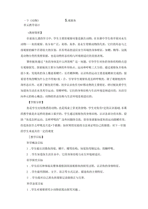 教科版小学科学一下2-5《观察鱼》.docx