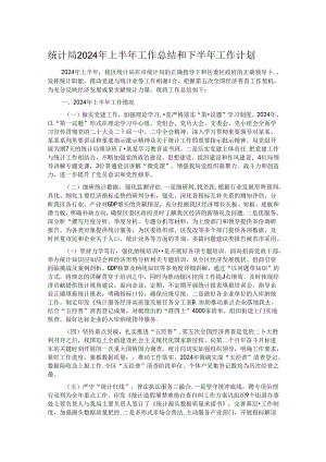 统计局2024年上半年工作总结和下半年工作计划.docx