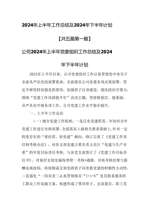 （5篇）2024年上半年工作总结及2024年下半年计划.docx