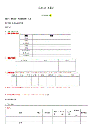 P2P尽调调查报告(模板1空表).docx