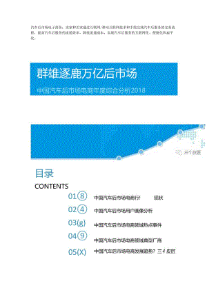 中国汽车后市场电商年度综合分析.docx